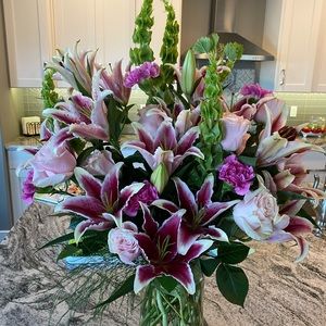 Meet your Posher, Cat